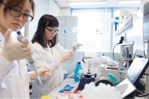 Scientists working with pipettes in a bright laboratory.