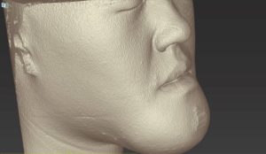 Close-up of a sculpted face focusing on the nose and mouth area.
