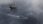 A modern speedboat races past an old sailing ship on a misty ocean.